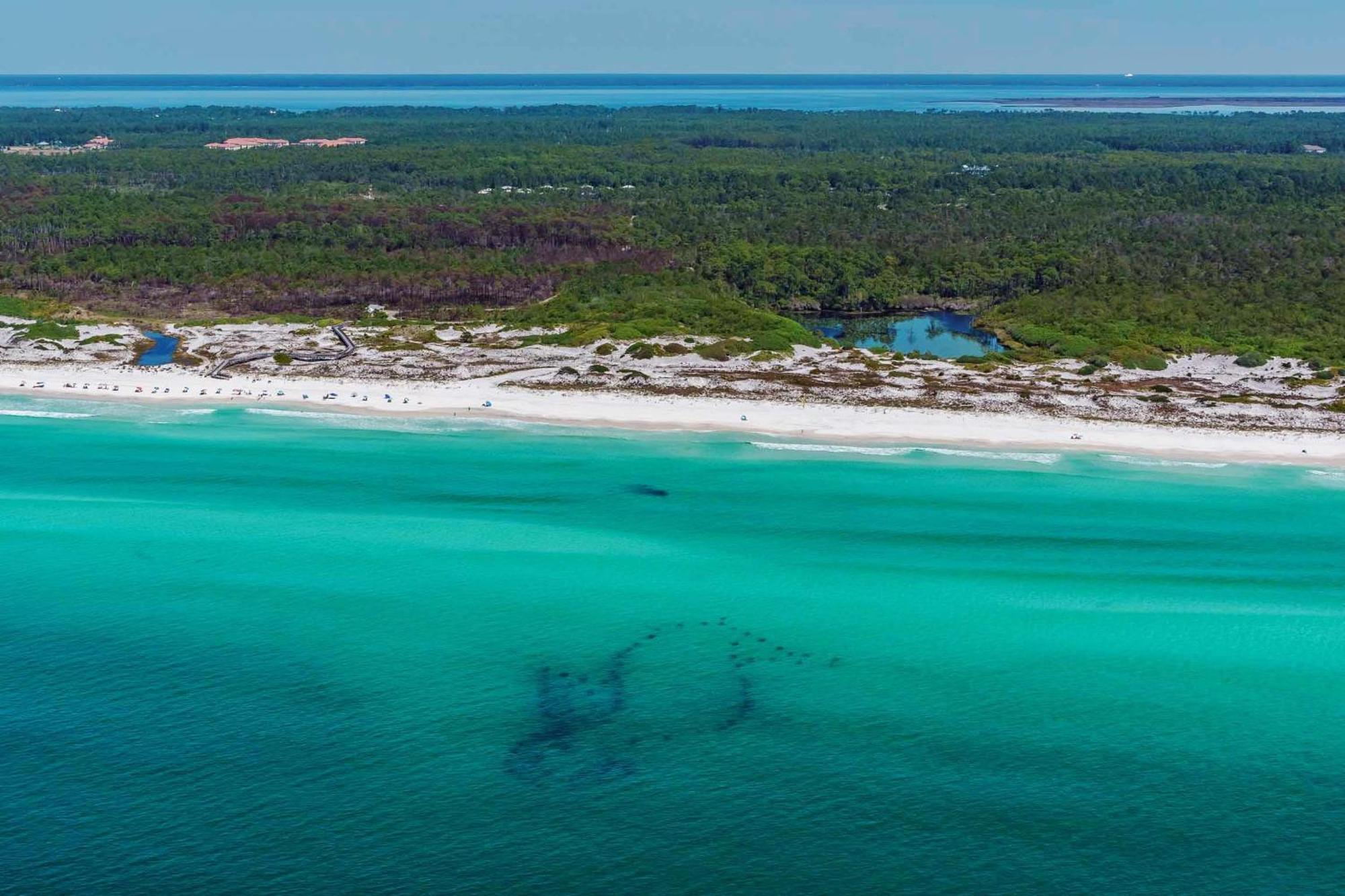 Summit At Tops'L 714 Miramar Beach Esterno foto
